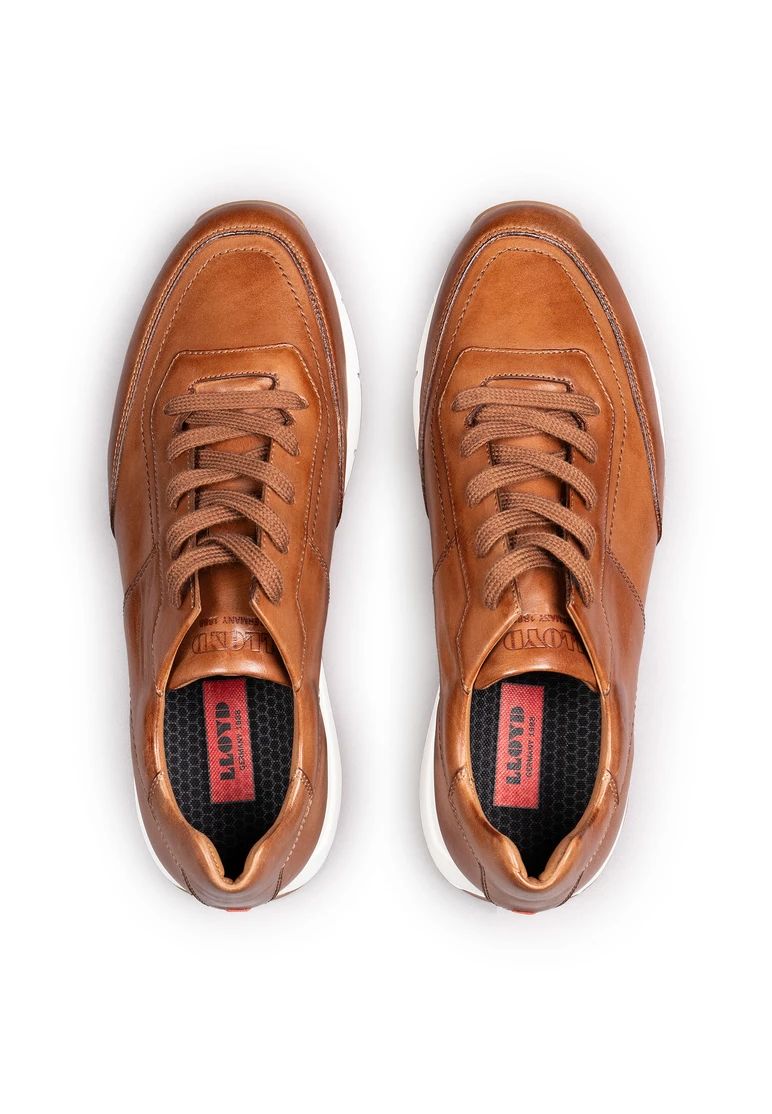 Lloyd Amsterdam - Braun