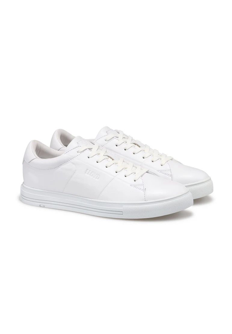 Lloyd Court - Weiss Lloyd Court - Weiss